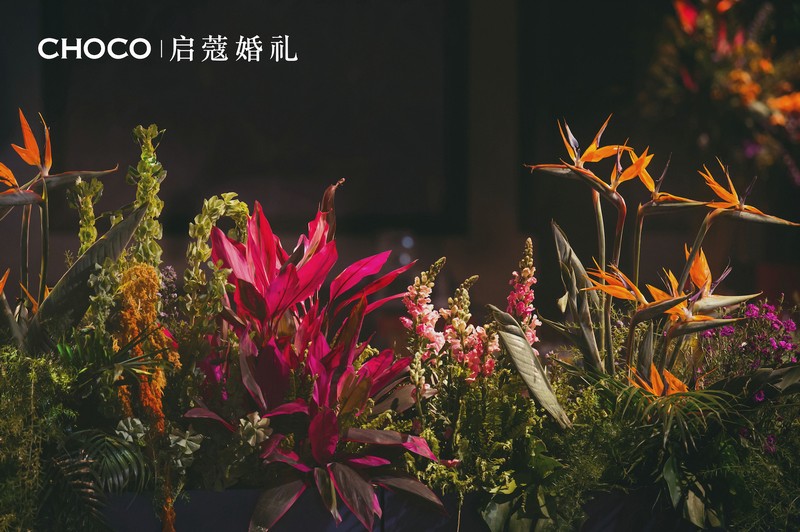 三亚薇拉婚纱摄影怎么样（全面测评）
