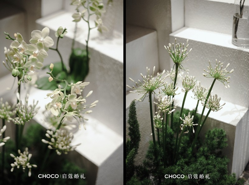 求婚现场怎么布置
